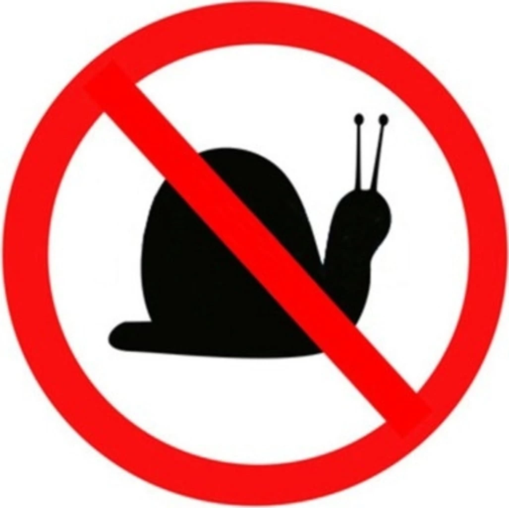 Hochbeet Edelrost "Optimus", 200 X 100 Cm – Bild 5