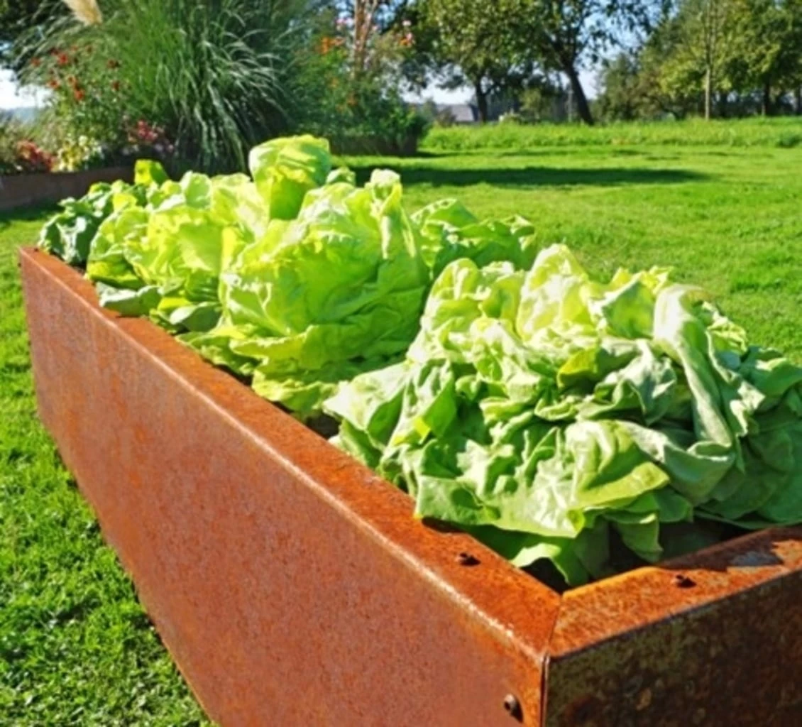 Hochbeet Edelrost "Planus", 158 X 38 Cm â Bild 2