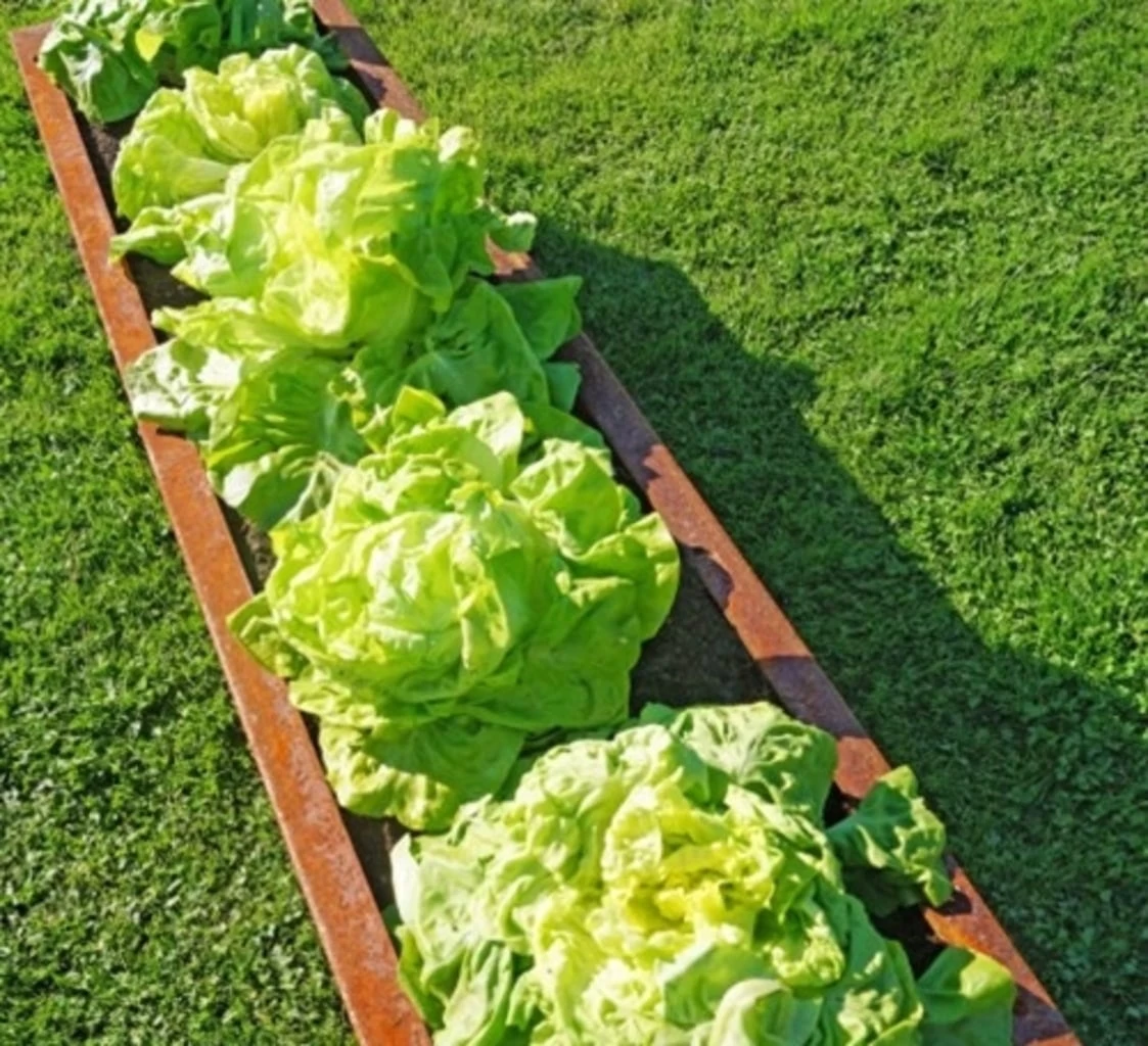 Hochbeet Edelrost "Planus", 158 X 38 Cm â Bild 3