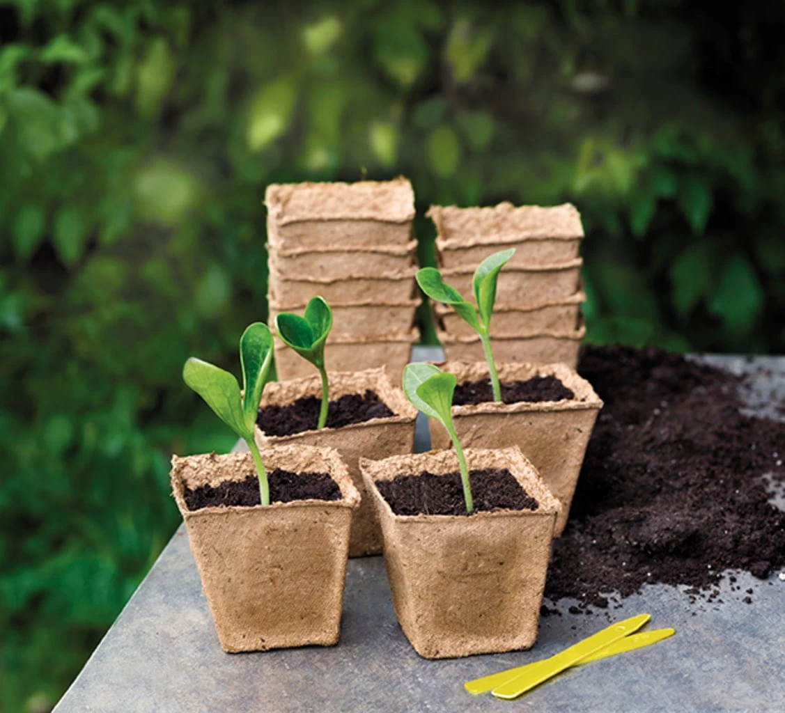 22 Anzuchttöpfe 6 Cm Quadratisch, 22 Stück