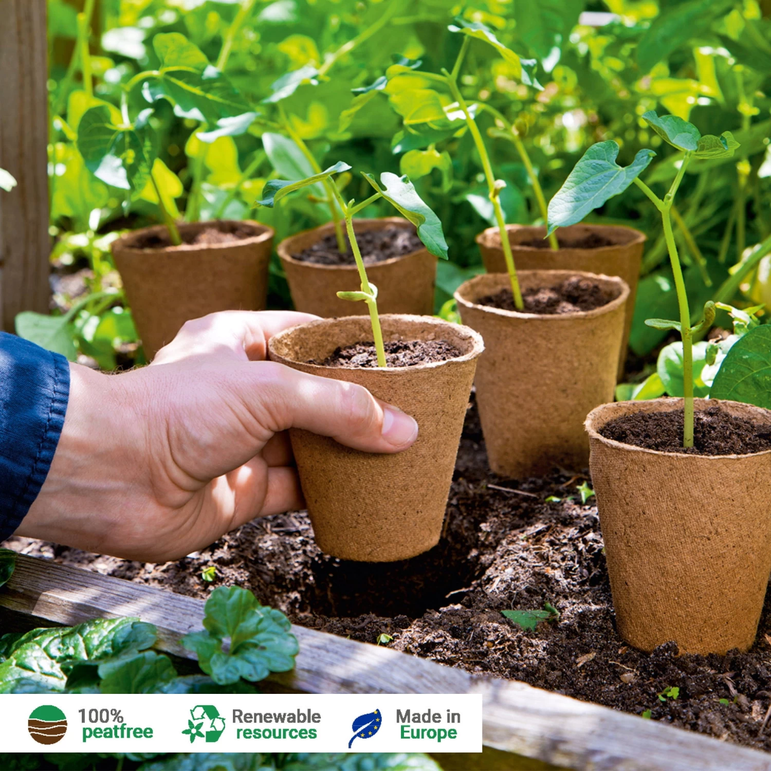 48 Anzuchttöpfe 8 Cm Rund, 48 Stück – Bild 3