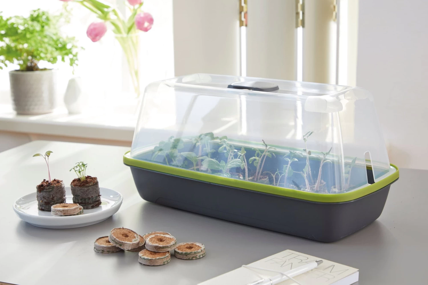 Anzuchtschale M BOQUBE Anthrazit-Sommergrün – Bild 2