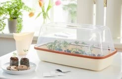 Anzuchtschale M BOQUBE Creme-Kupferbraun