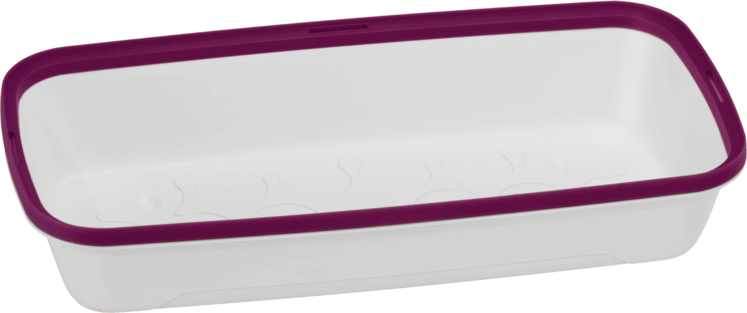 Anzuchtschale M BOQUBE Weiß-Pflaume – Bild 2