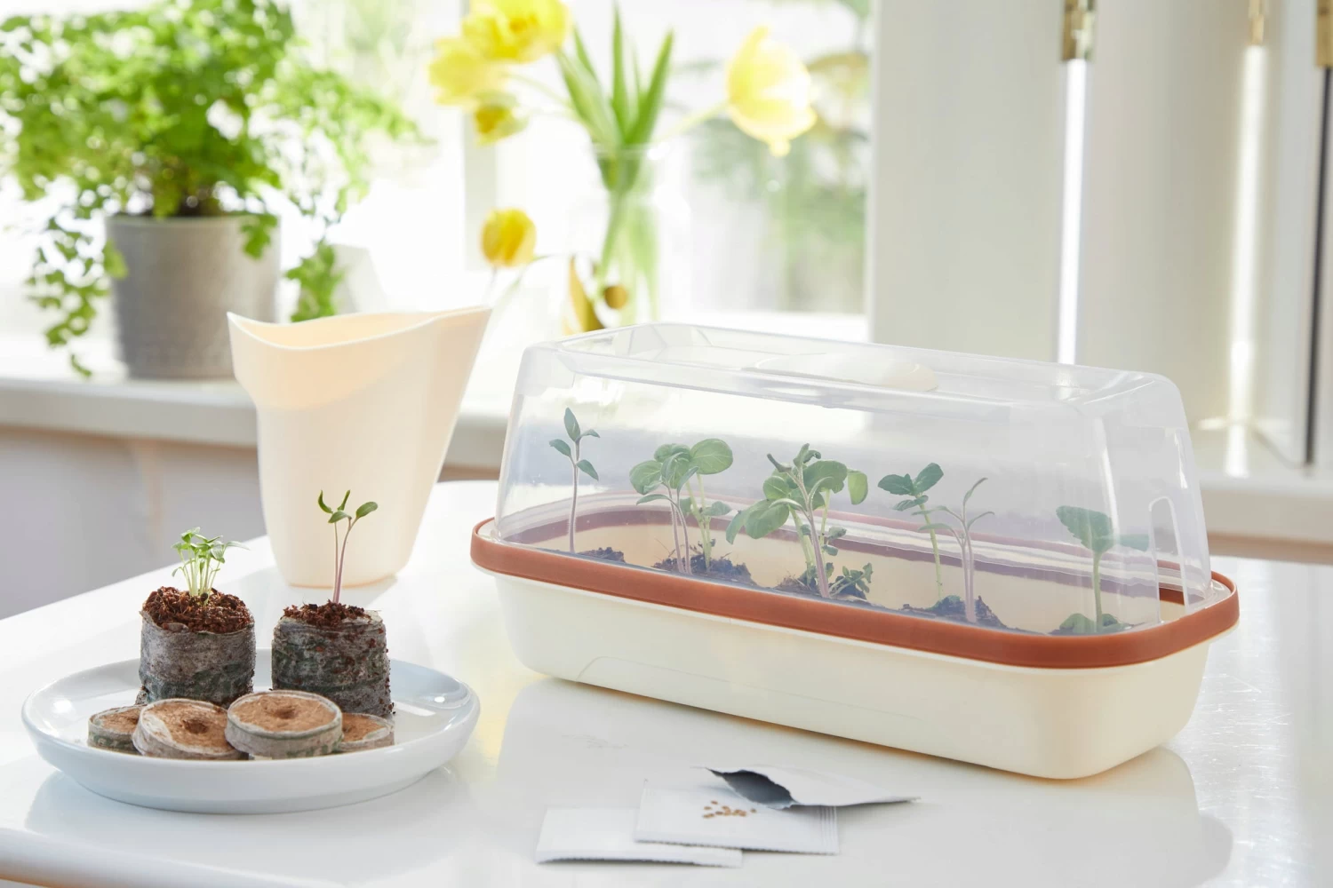 Anzuchtschale S BOQUBE Creme-Kupferbraun – Bild 2