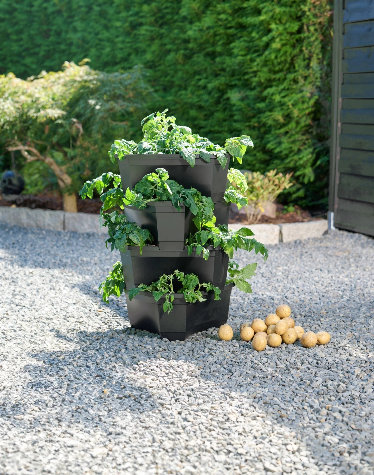 Anzuchttopf "Kartoffel- Und Pflanzturm" – Bild 2