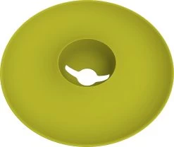 Avocado Kit FĂŒr Die Anzucht