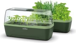 Gewächshaus & Pflanzkasten L - BoQube "Green Edition"