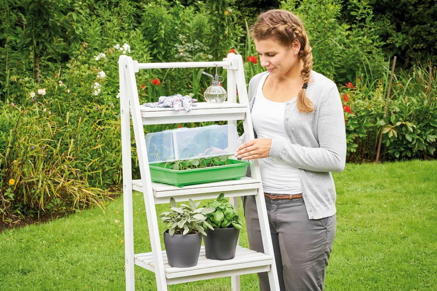 Classic Gewächshaus M – Bild 2