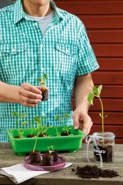 6 Kokos-Quelltabletten, Ø 70 Mm, 6 Stück