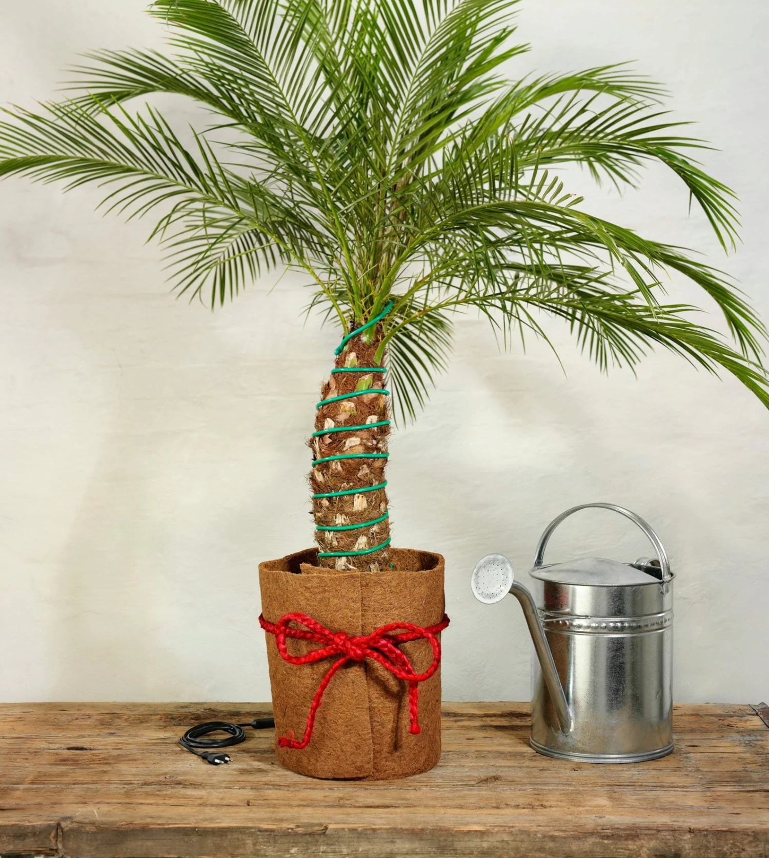 Classic Pflanzenheizung, 10 M (8 M Heizbar) 40 Watt â Bild 4