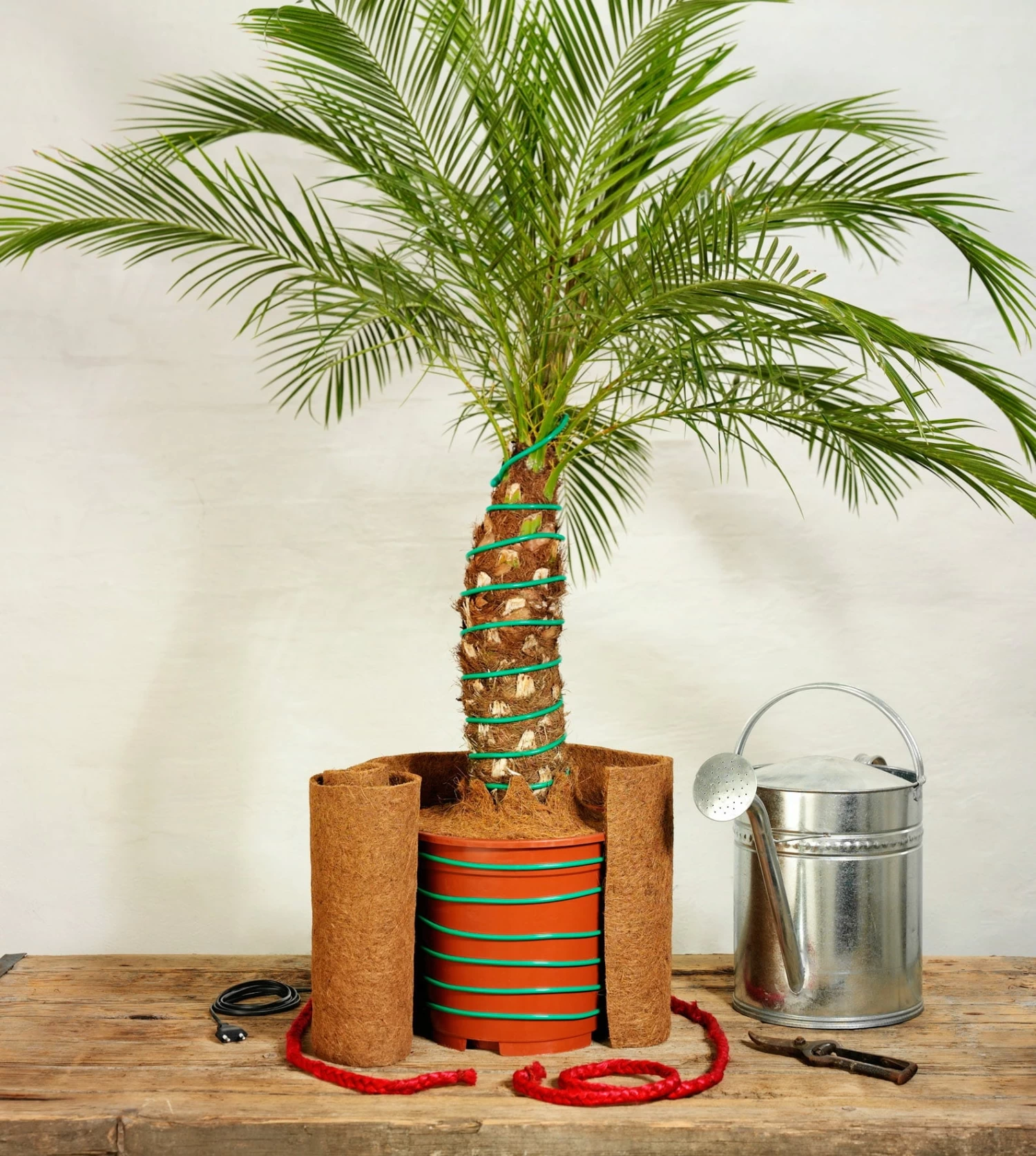 Classic Pflanzenheizung, 10 M (8 M Heizbar) 40 Watt â Bild 3