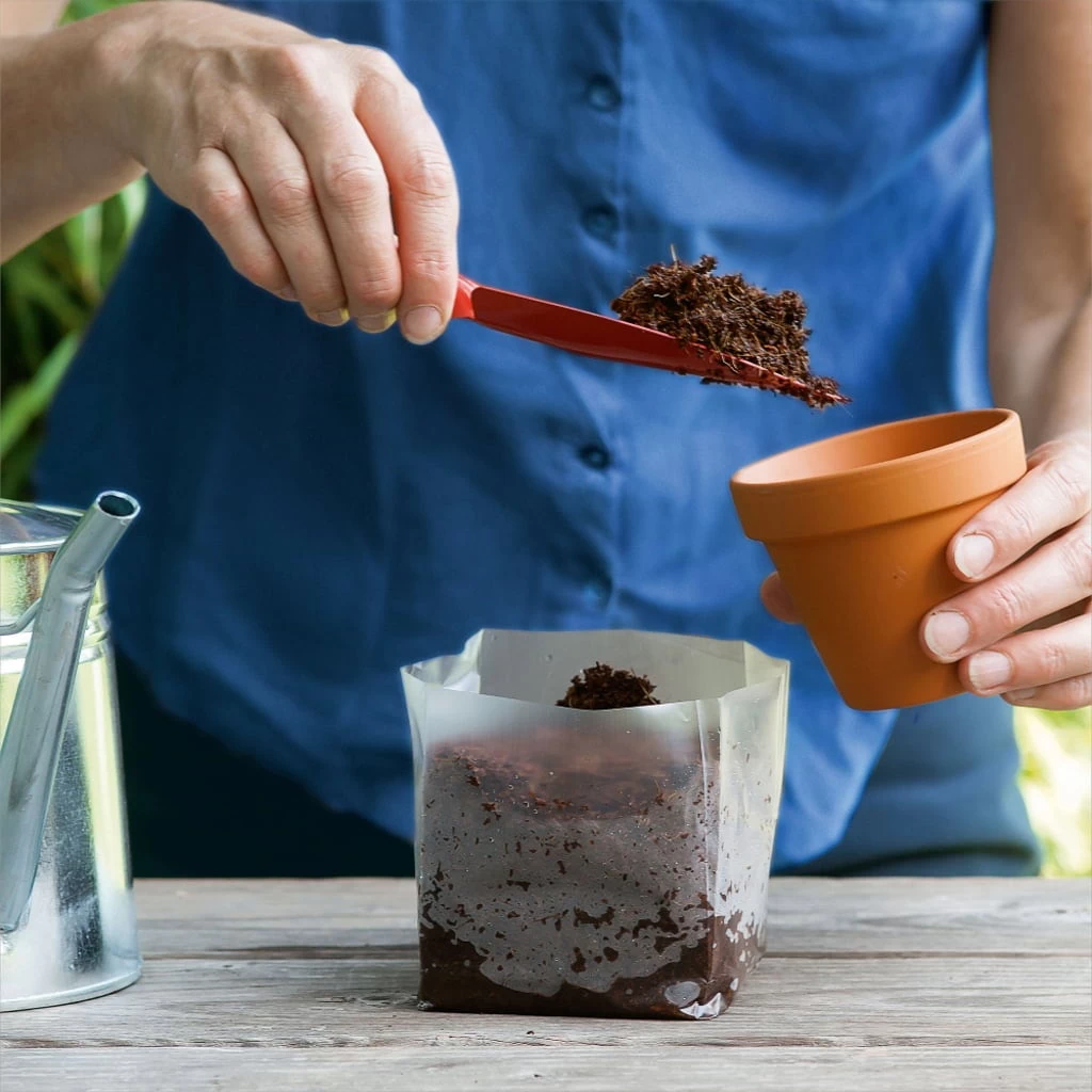 POP UP BOX Anzucht-Erde - 5 X 1 Liter – Bild 3