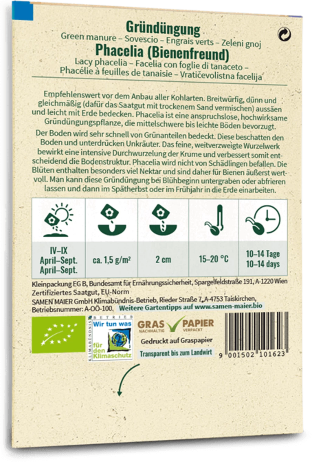 Bio Phacelia "Bienenfreund" â Bild 2