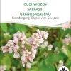 Bio Gründüngung "Buchweizen"