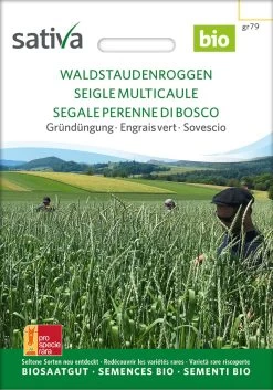 Bio Gründüngung "Waldstauden Roggen"