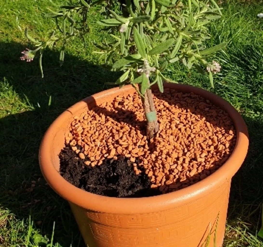 Bio-Pflanz-Granulat Für Hochbeete, Balkon- & Kübelpflanzen, 12,50 L – Bild 3