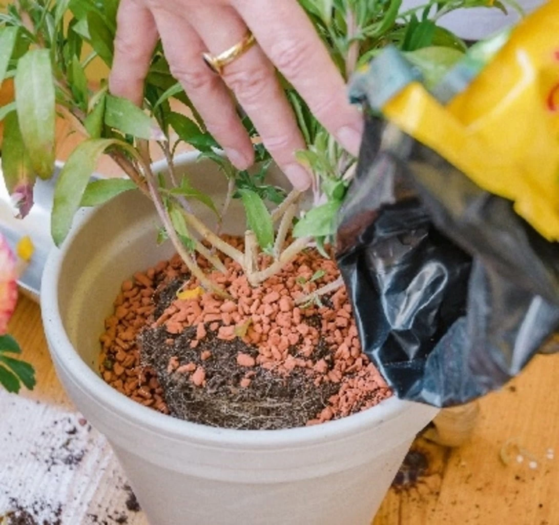 Bio-Pflanz-Granulat Für Hochbeete, Balkon- & Kübelpflanzen, 12,50 L – Bild 4