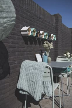 VogelfĂŒtterer Evie, Grau