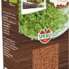 Bio Microgreen-Saat Kresse