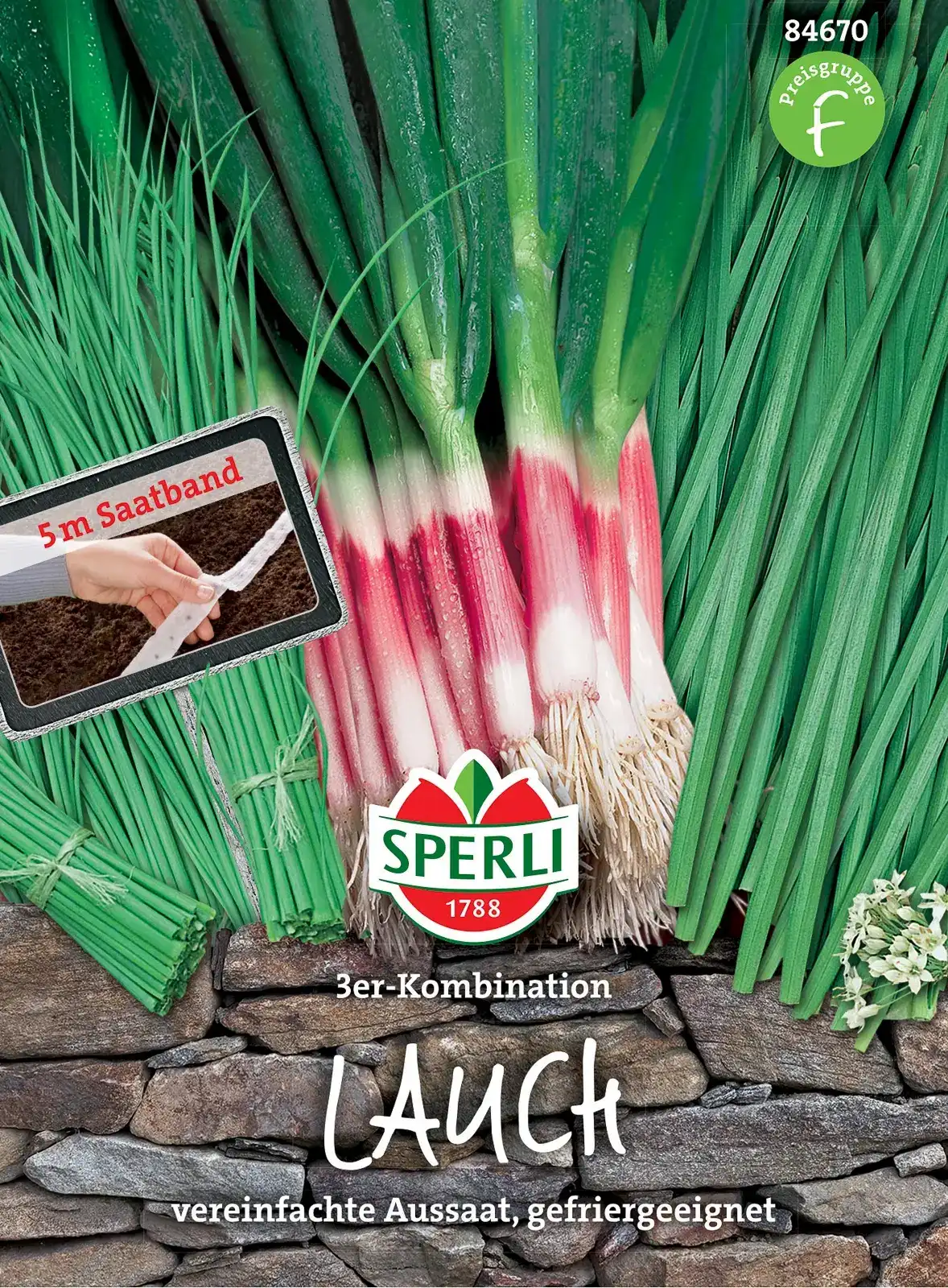 Schnittlauch "Lauch-Kombination" 5m Saatband â Bild 2