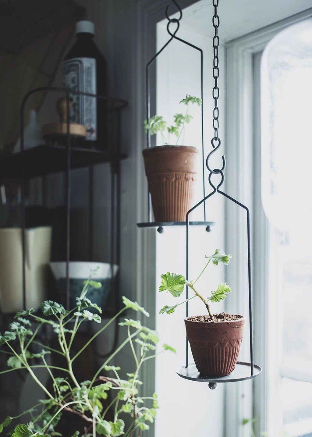 Hänge-Untersetzer Für Töpfe, Groß