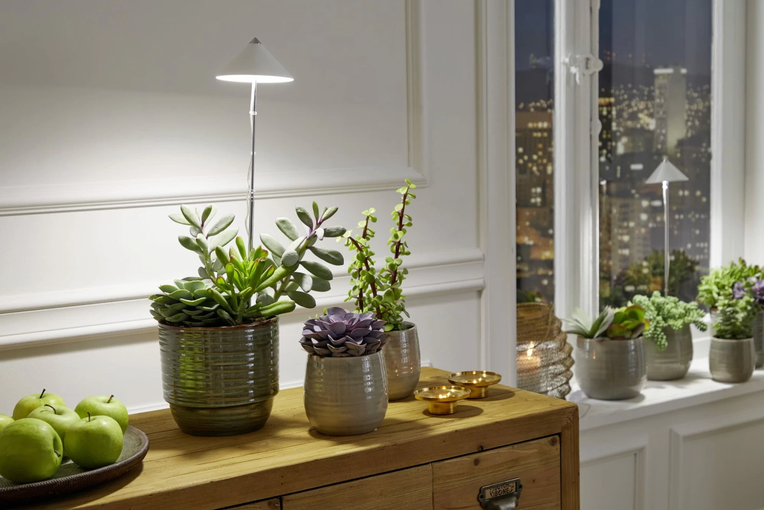 SUNLiTE Pflanzenlampe 7W, Weiß – Bild 3