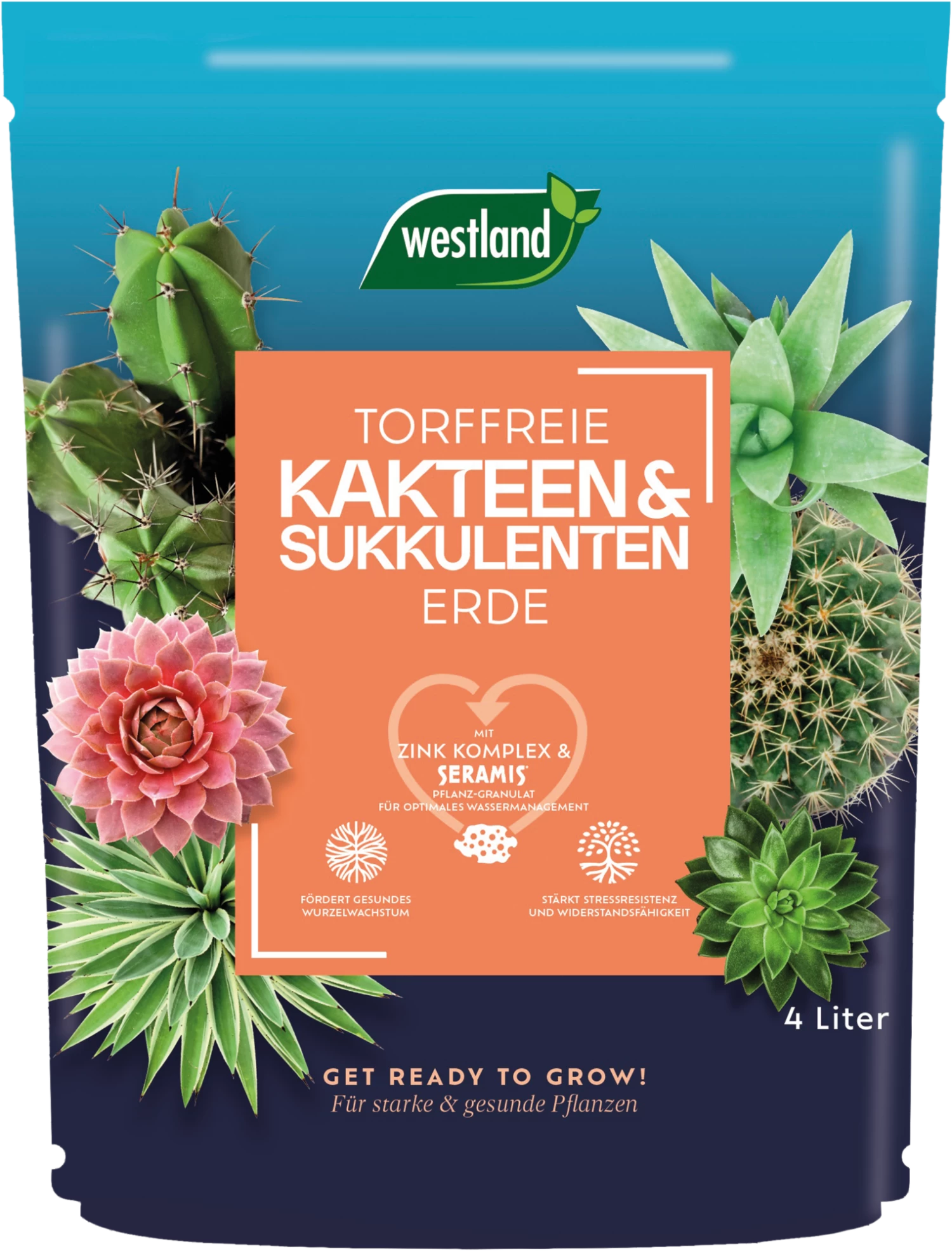 Westland Kakteen & Sukkulenten Erde TF, 4 L