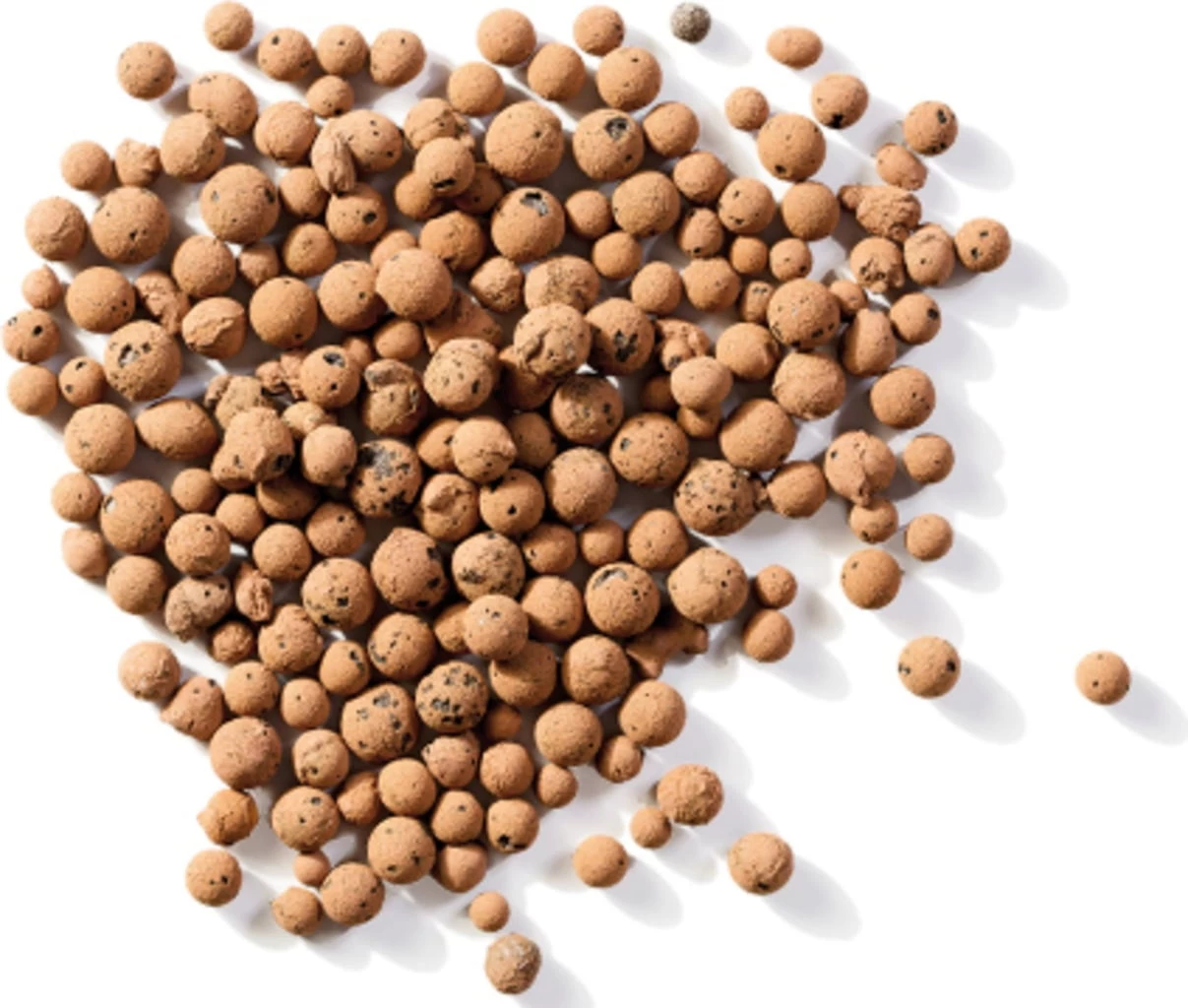 Westland Tongranulat Drainage, 5 L â Bild 2