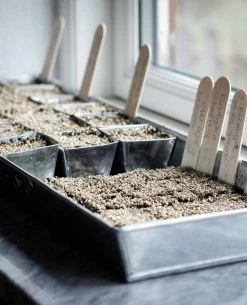 Anzuchtplatte Mit 30 Einzeltöpfen - Verzinkt