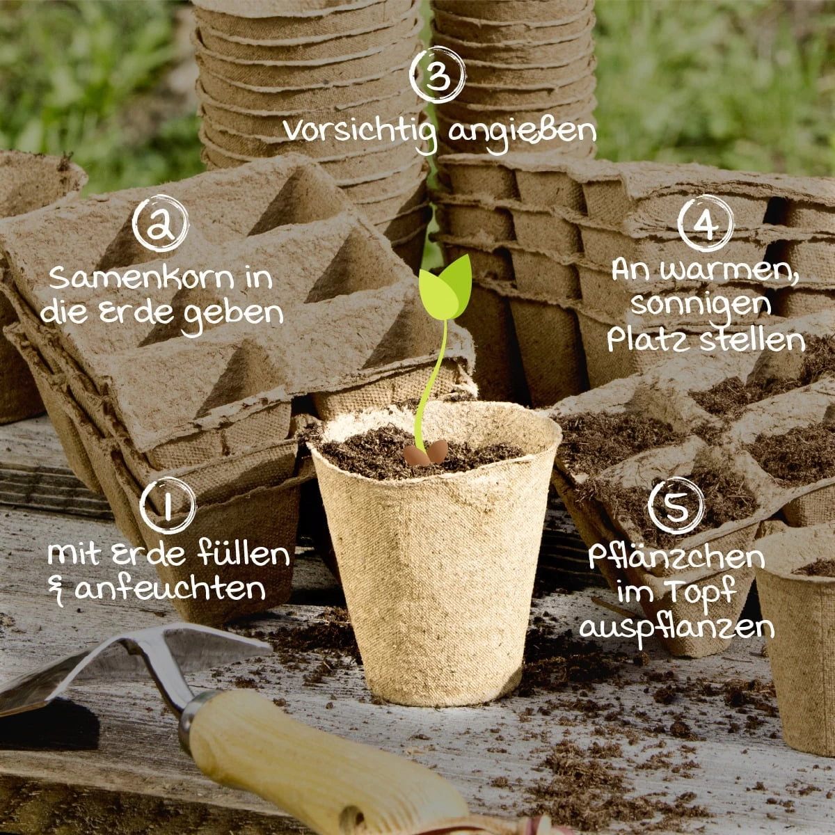 Windhager Anzucht-Töpfe 6 Cm Rund, 24 Stück – Bild 3