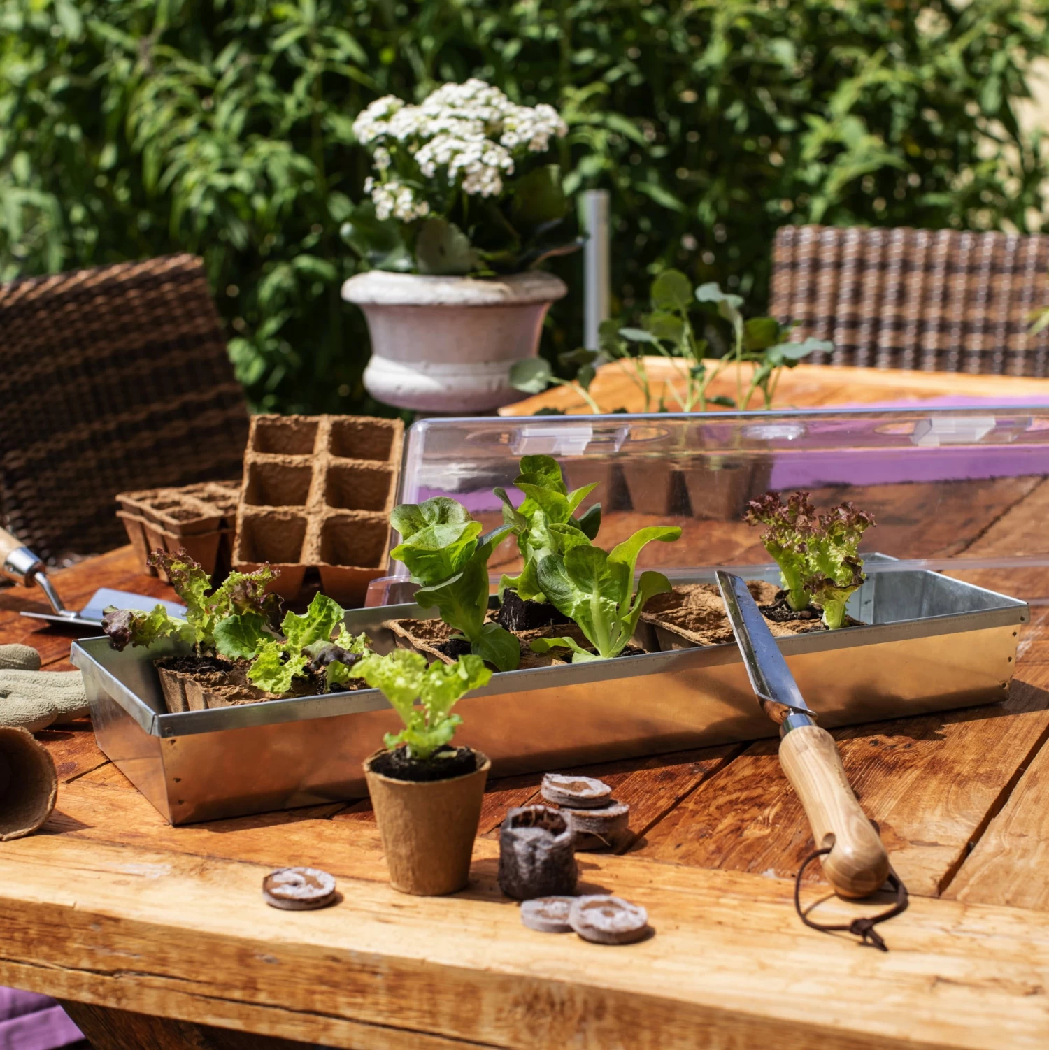 Windhager Anzuchtschale Verzinkt ÖKO – Bild 3