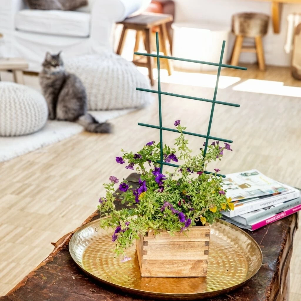 Windhager Blumenstütze Gerade, 25,5x15 Cm – Bild 2