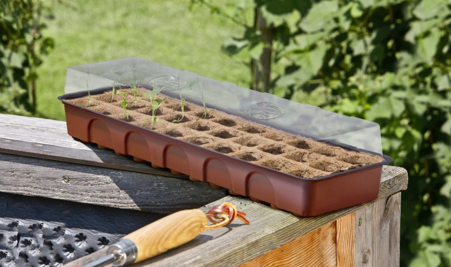 Windhager Fensterbank-Treibhaus Inkl. 30 Töpfe – Bild 5