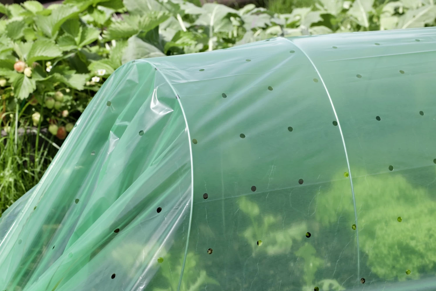 Windhager Folien-Tunnel Komplett Set – Bild 5