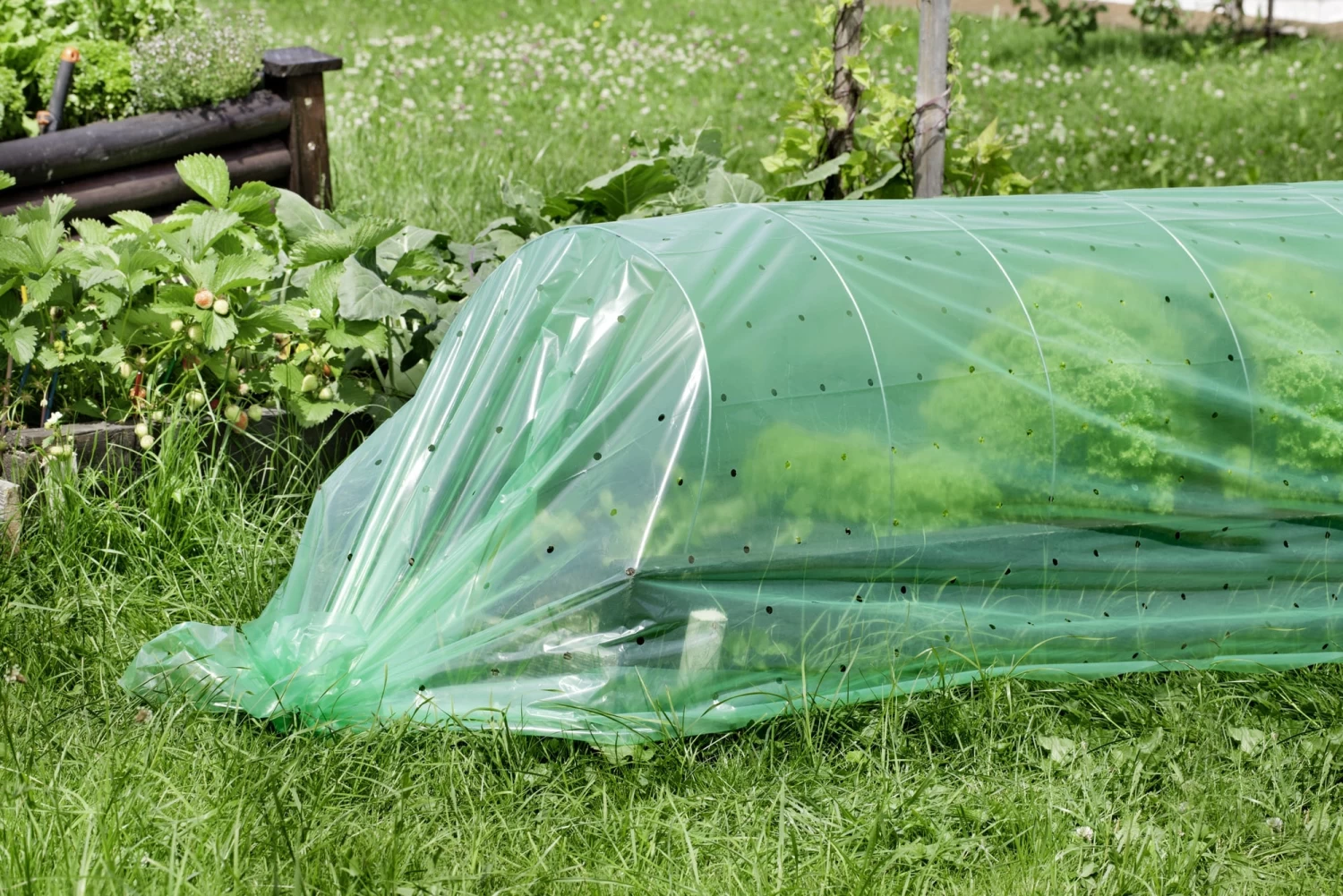 Windhager Folien-Tunnel Komplett Set – Bild 7