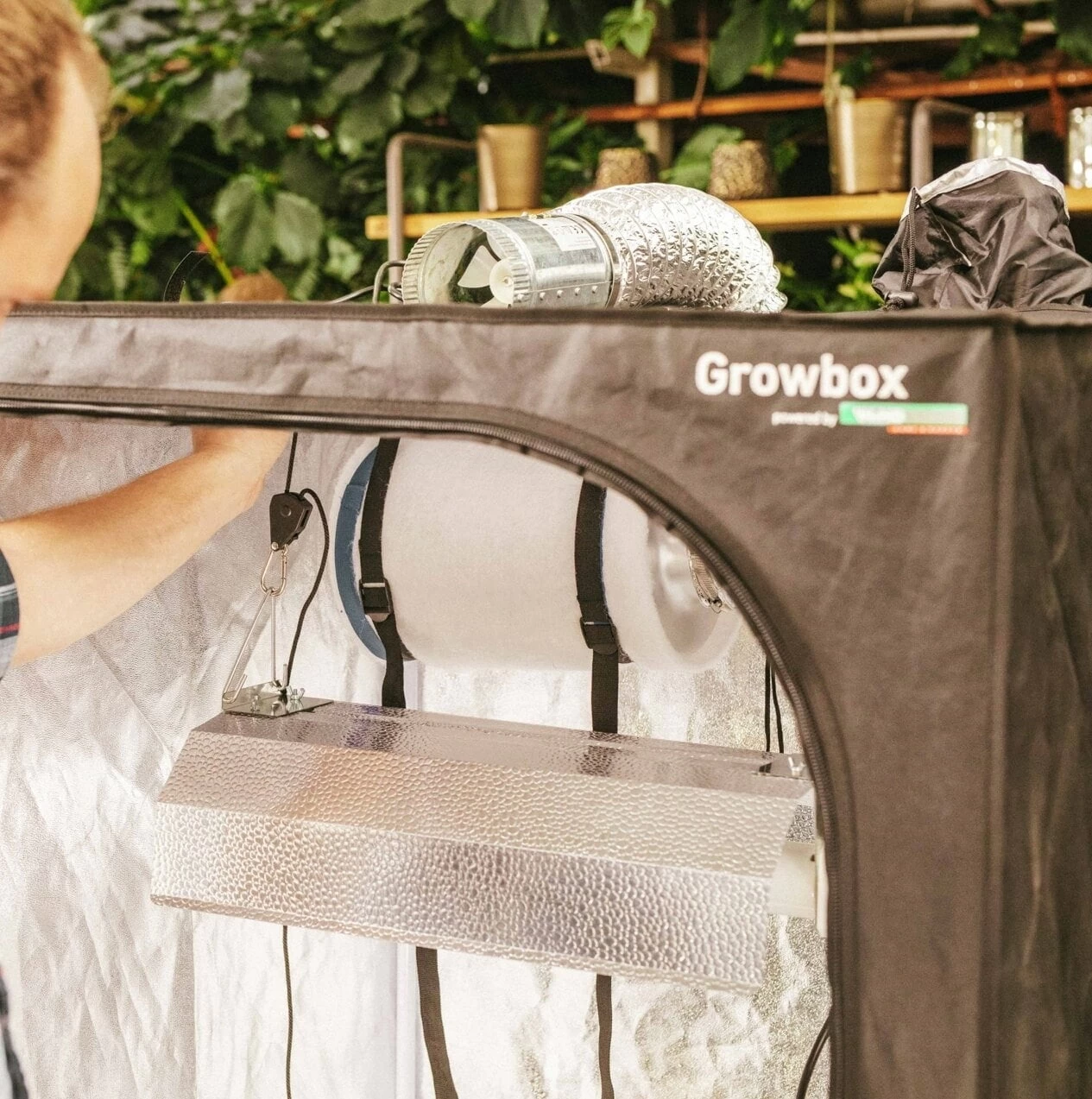 Windhager Growbox Starterset – Bild 6