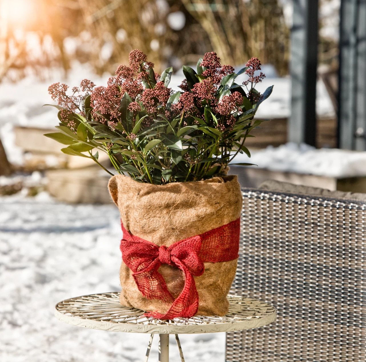 Windhager Jute Winterschutz-Vliesmatte Öko, 0,5 X 4 M – Bild 2