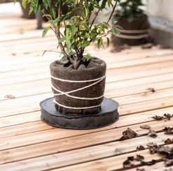 Windhager Kälteschutz Topfunterlage, Ø 35 Cm, 5 Cm