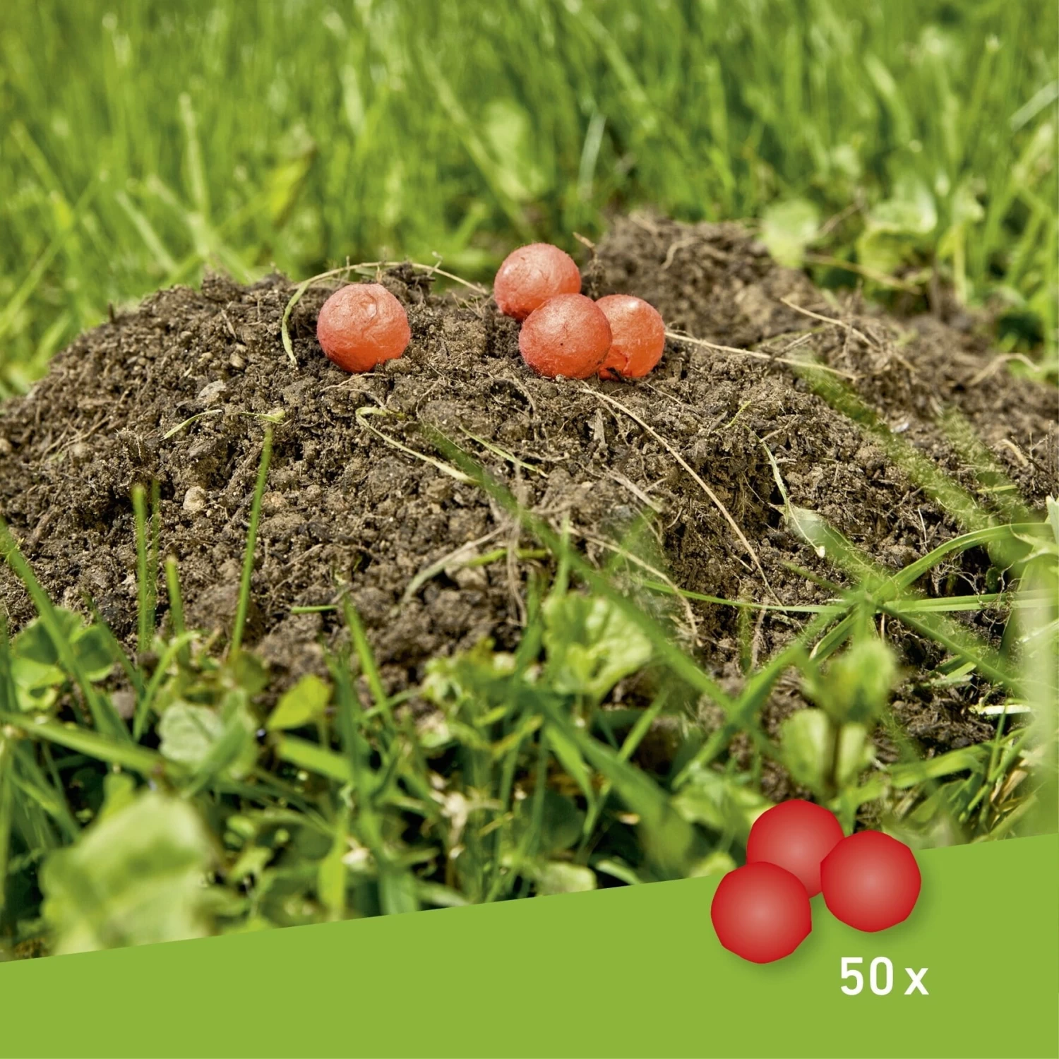 Windhager Maulwurfabwehr Kugeln 50 Stk., 50 Stück – Bild 3