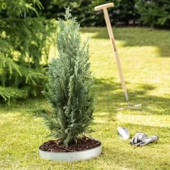 Windhager Rasenkanten Baumring-Set