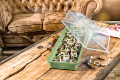 Windhager Saat-Schale 58x19x6cm, Schiefergrau