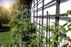 Windhager Stahlpflanzstab 10er-Set "Grün", 90 Cm