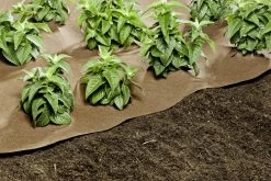 Windhager Unkraut Vlies Premium