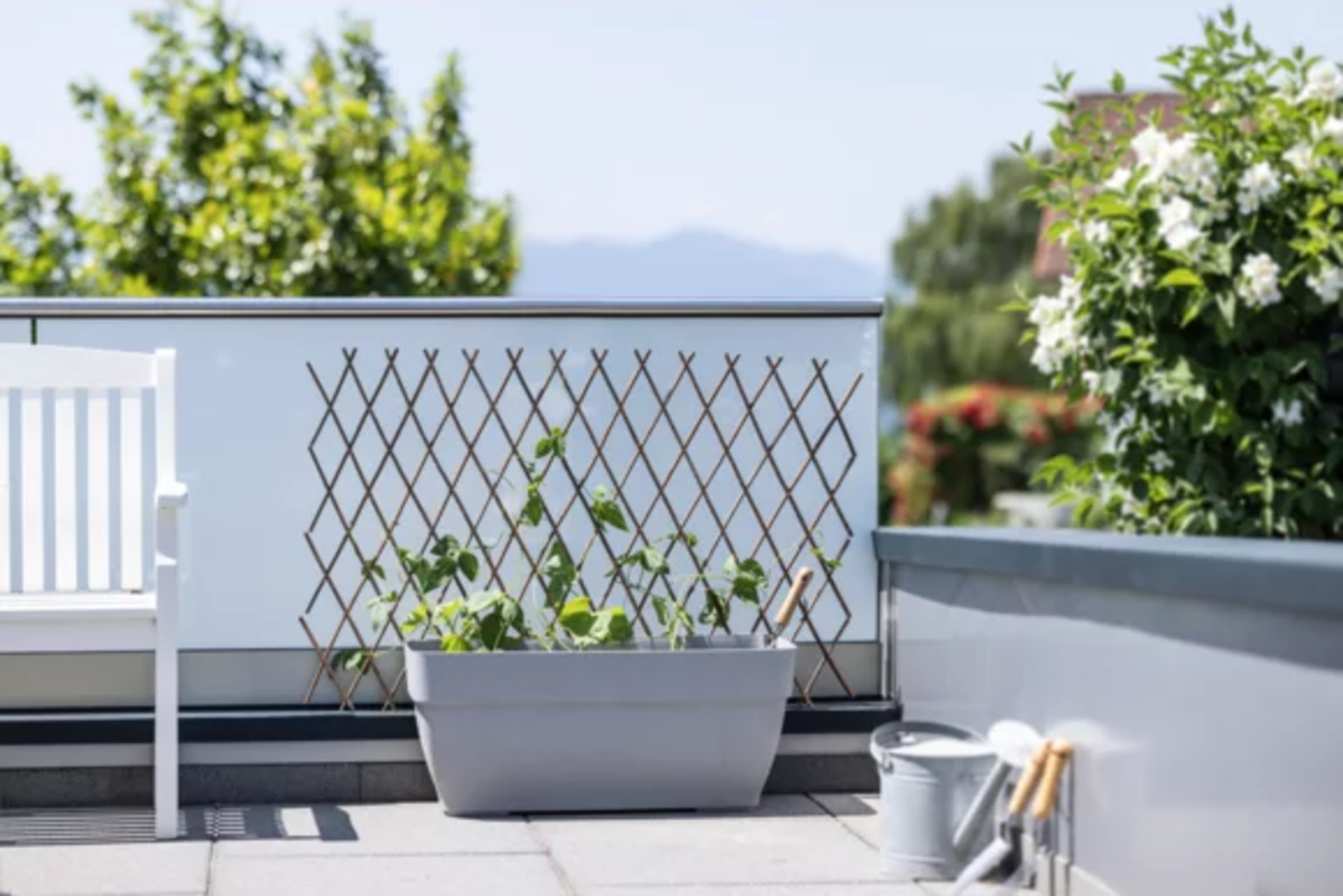 Windhager Weide-Spalier – Bild 3