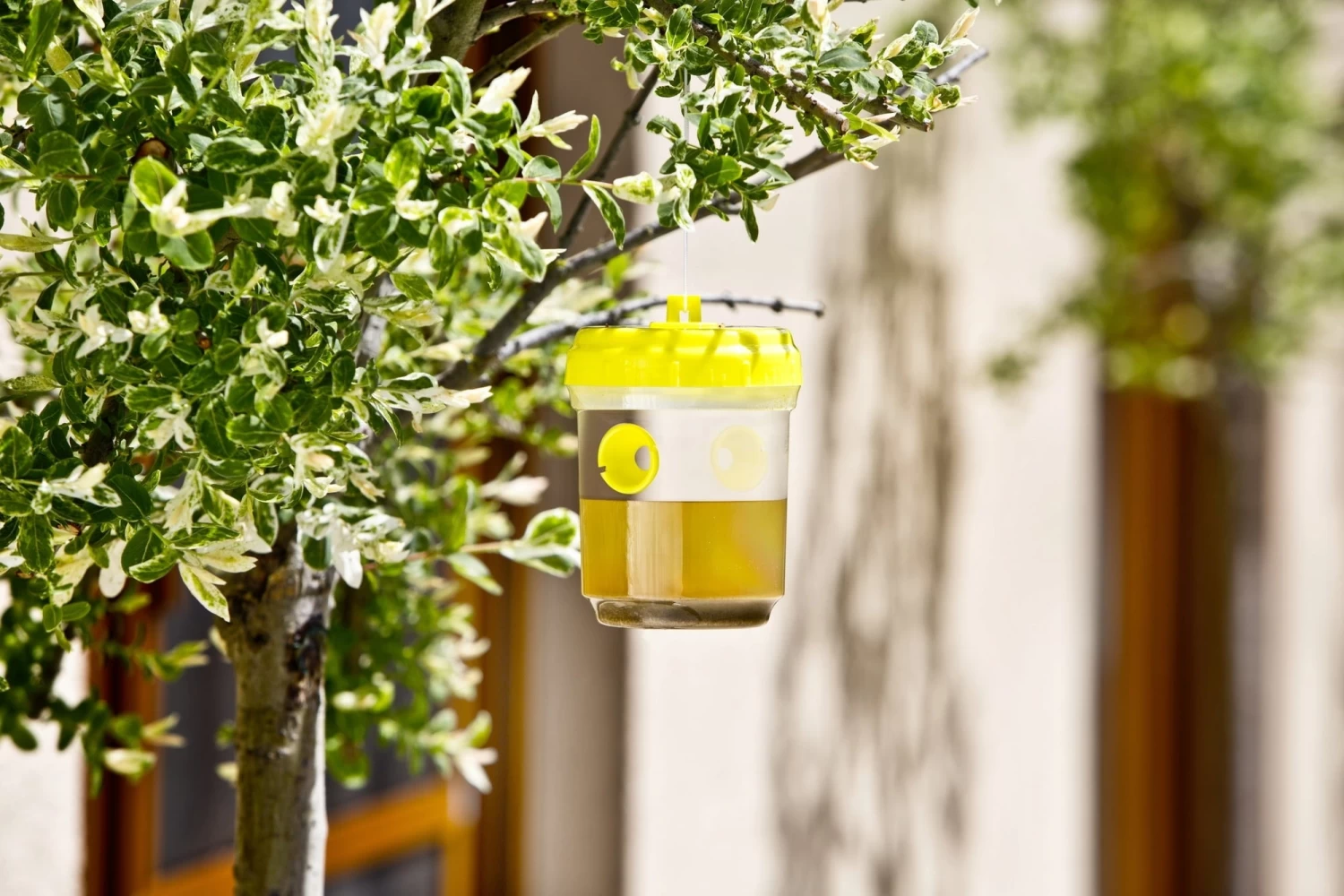 Windhager Wespen- & Fliegenfalle - 2 Stück, 2 Stück – Bild 2