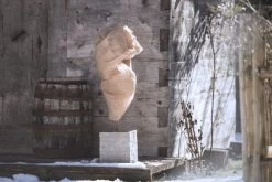 Windhager Winter-Vlies Aktion 2+1 GRATIS - 5x1,5m