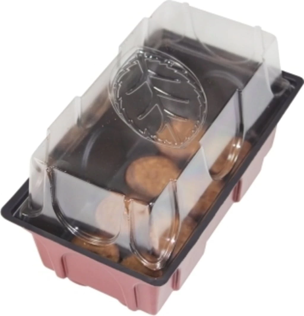 Windhager Zimmer-Treibhaus Mini Mit 8x Quelltabs – Bild 2