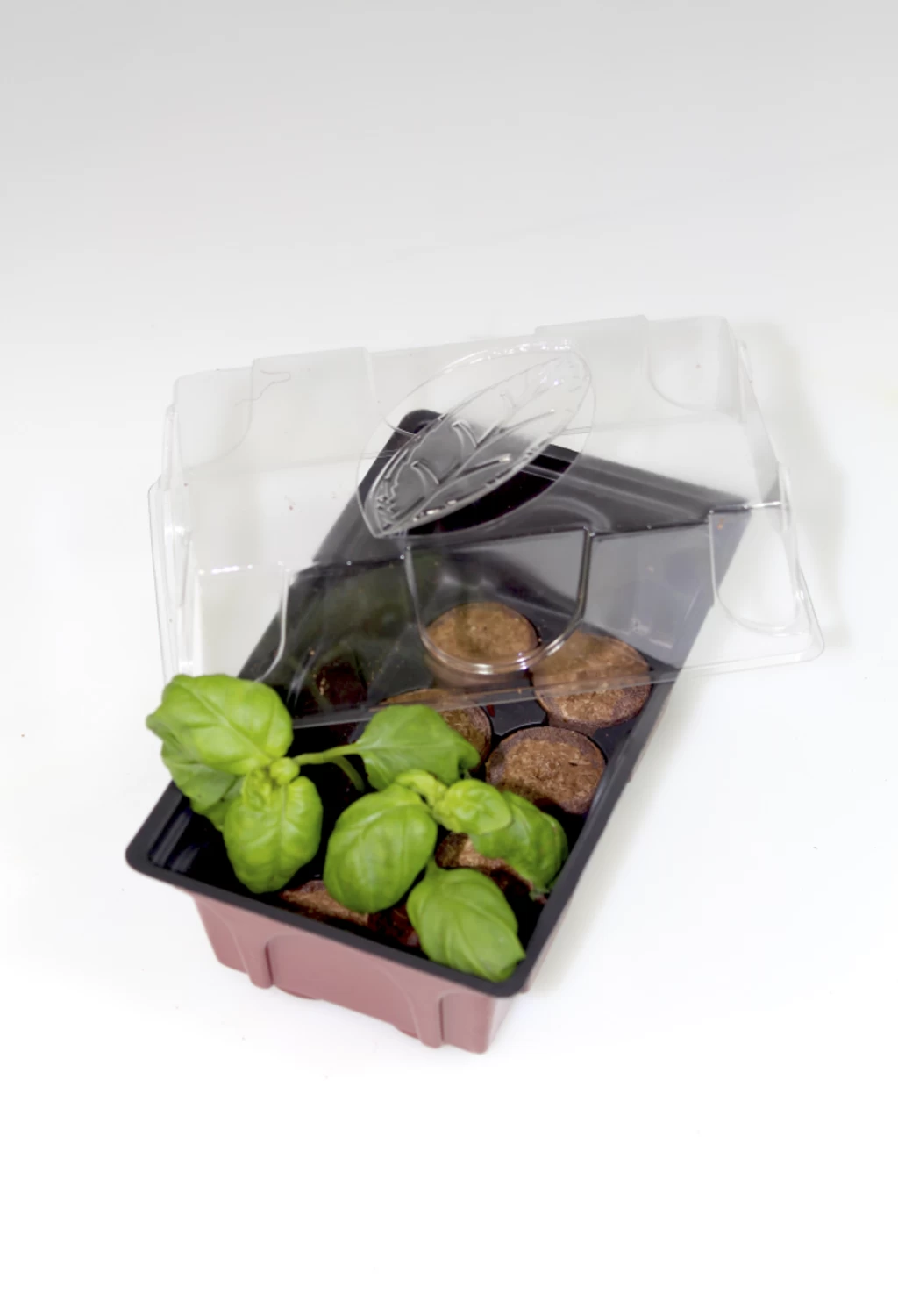 Windhager Zimmer-Treibhaus Mini Mit 8x Quelltabs – Bild 4