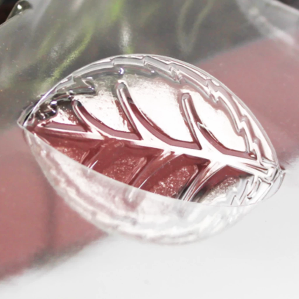 Windhager Zimmer-Treibhaus Mini Mit 8x Quelltabs – Bild 5